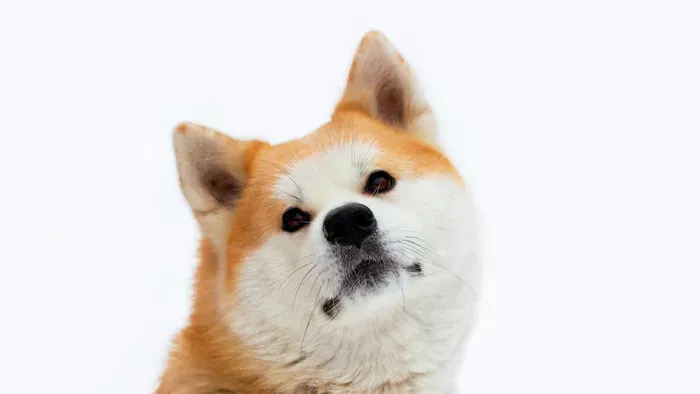 „Nélküle semmi vagyok” – drámai vallomást tett a színésznő