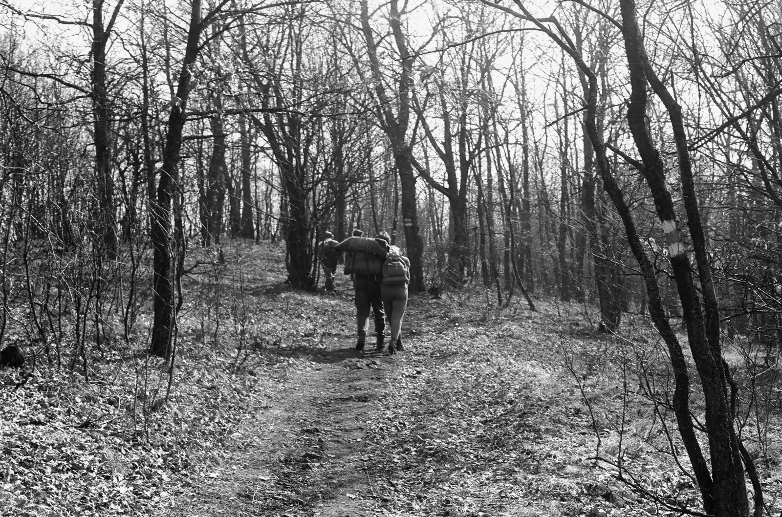 Kvíz kérdést ábrázoló kép