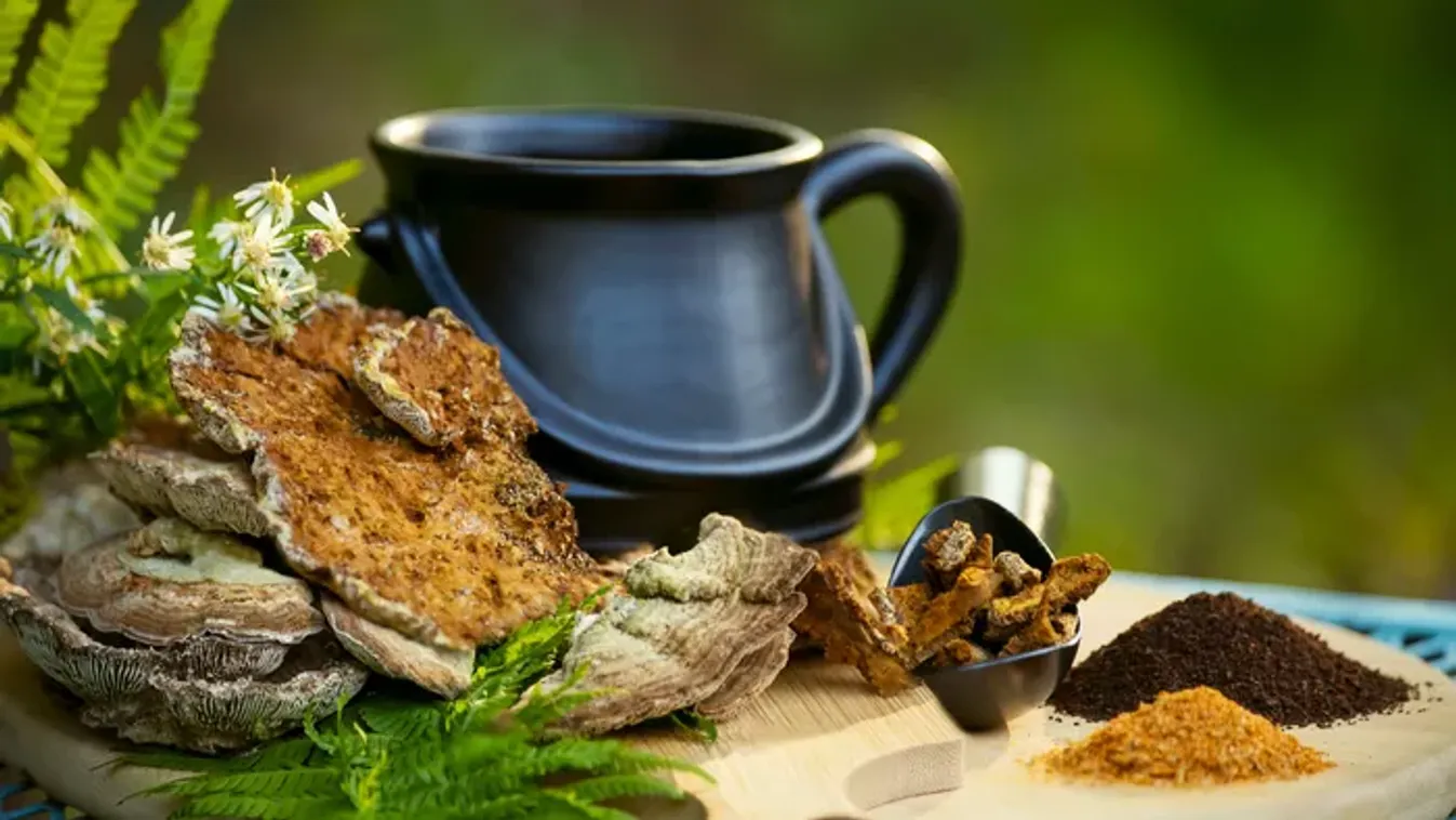 Gomba-trip – így emeld új szintre a mentális teljesítményed