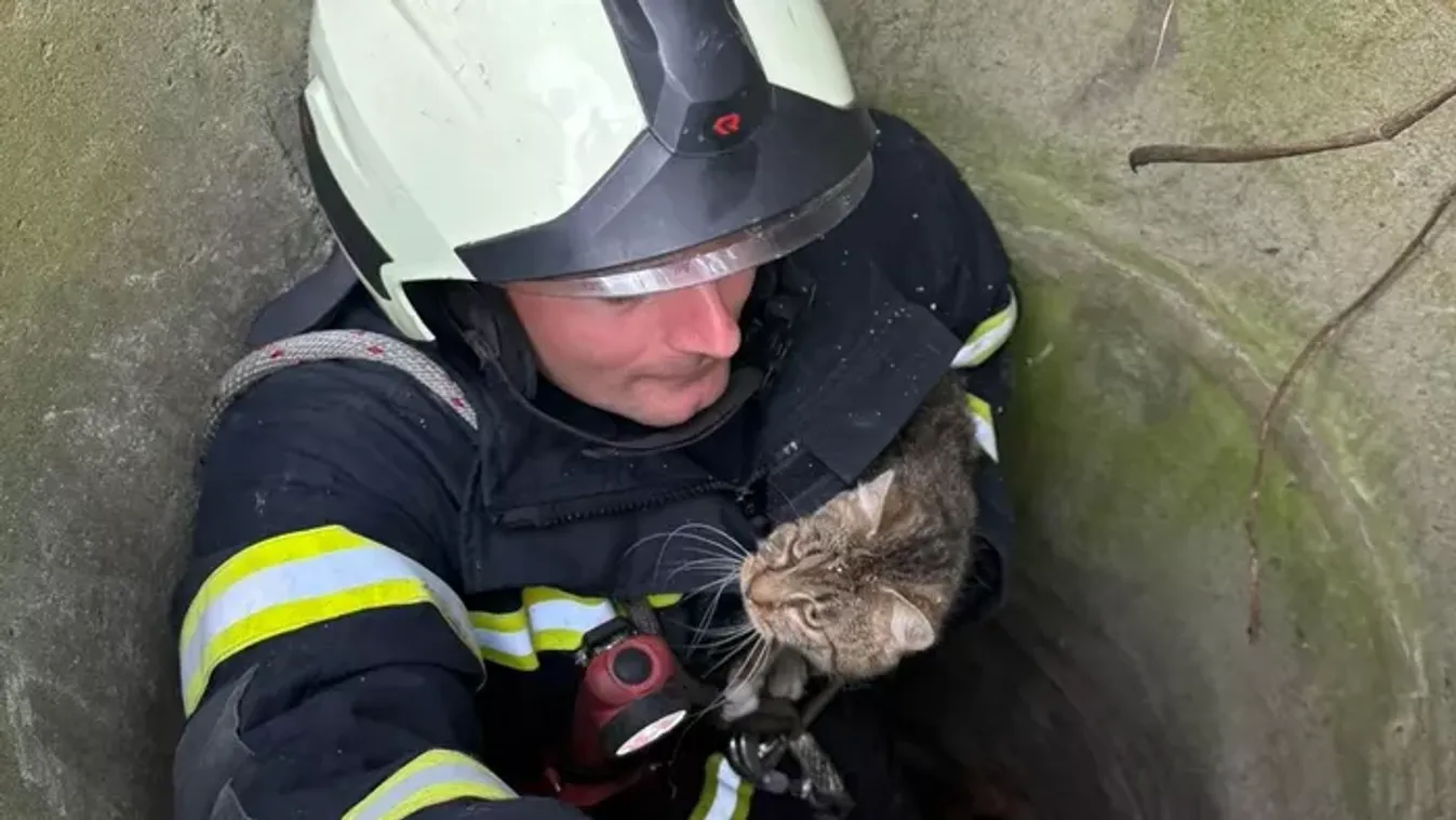 Csutak elhasználta az egyik életét: Láncfűrésszel vágtak utat a kútba zuhant macskának