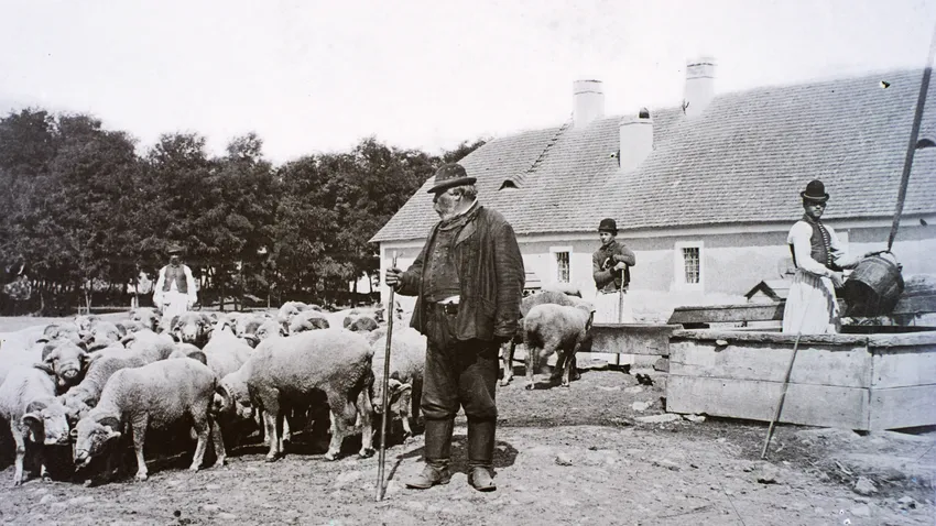 Kvíz kérdést ábrázoló kép