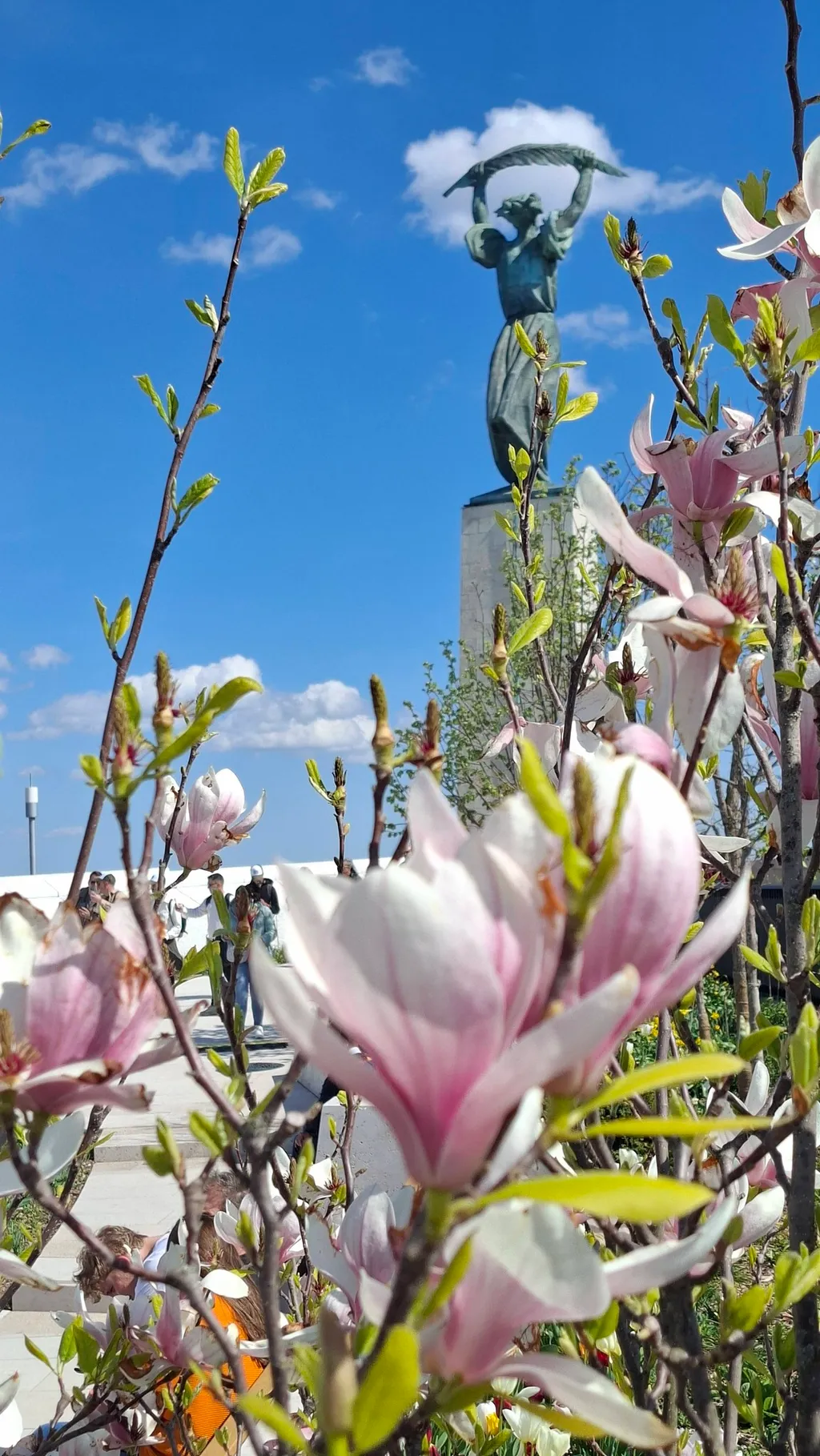 Az új Citadella vonzó közparkként nyílt meg.