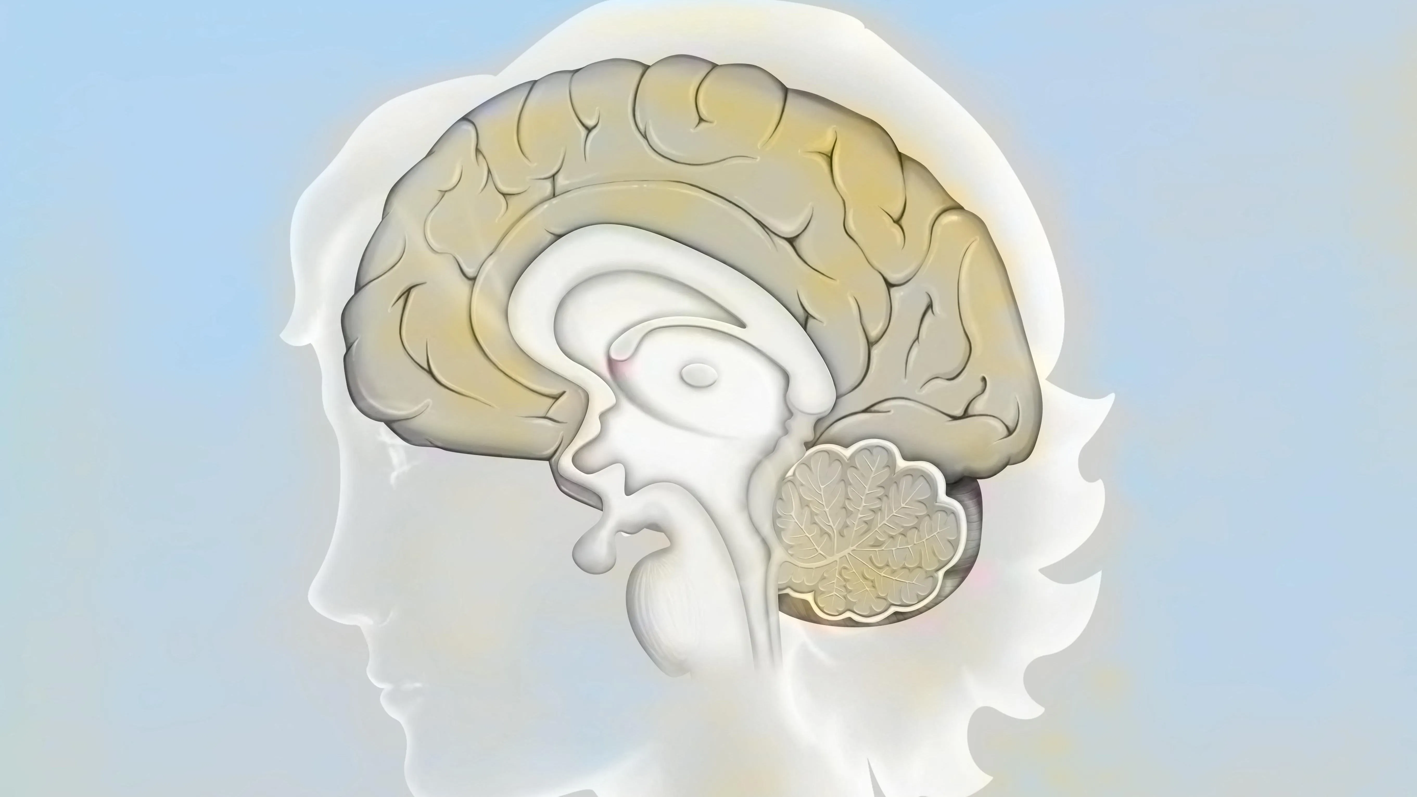 Kvíz kérdést ábrázoló kép