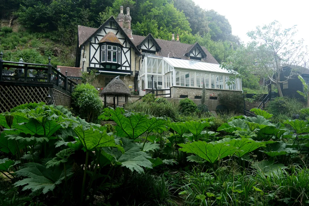A történelmi Chine Lodge a különleges mikroklímájú Shanklin Chine-ben,  a szurdokban, amely egészen a tengerpartig vezet. 