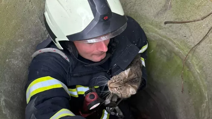 Kútba esett macskát mentettek ki a tűzoltók
