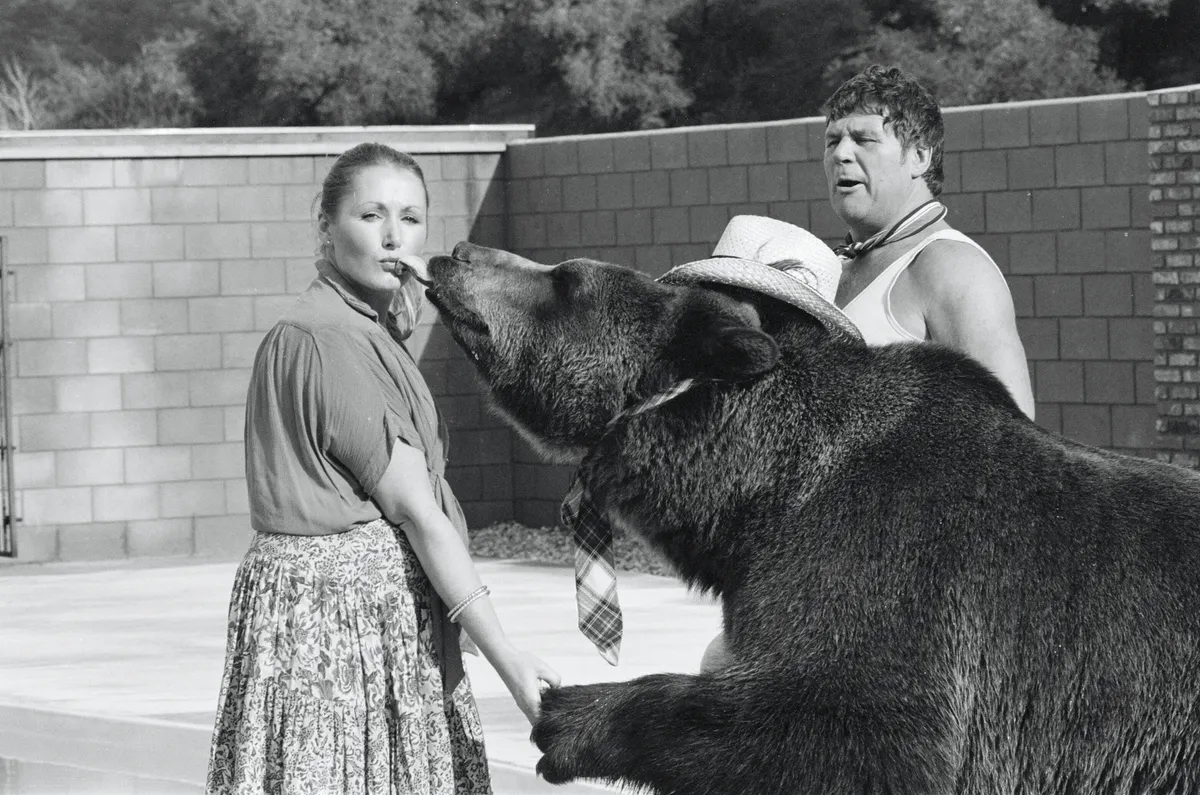 Herkules, a grizzly medve