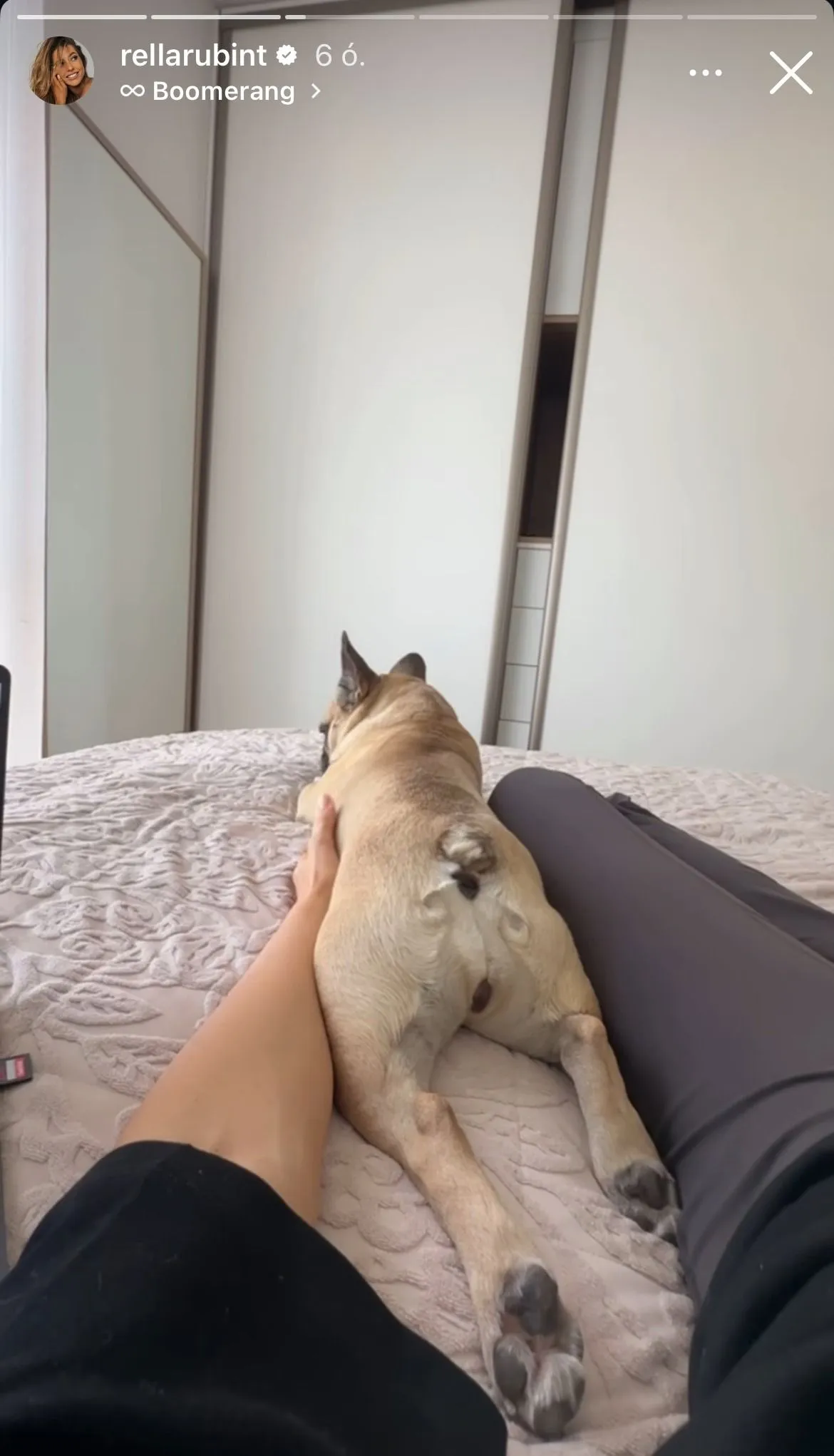 Rubint Rella kiskutyája: Sansa