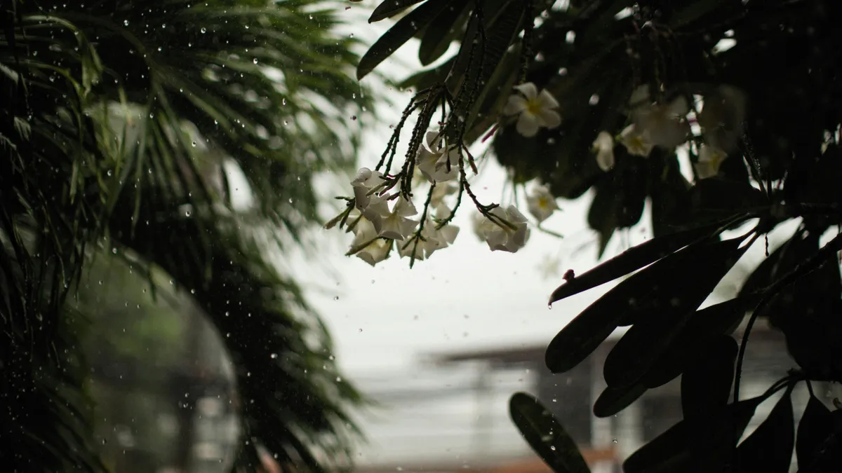 Változékony időjárásra számíthatunk az elkövetkezendő napokban