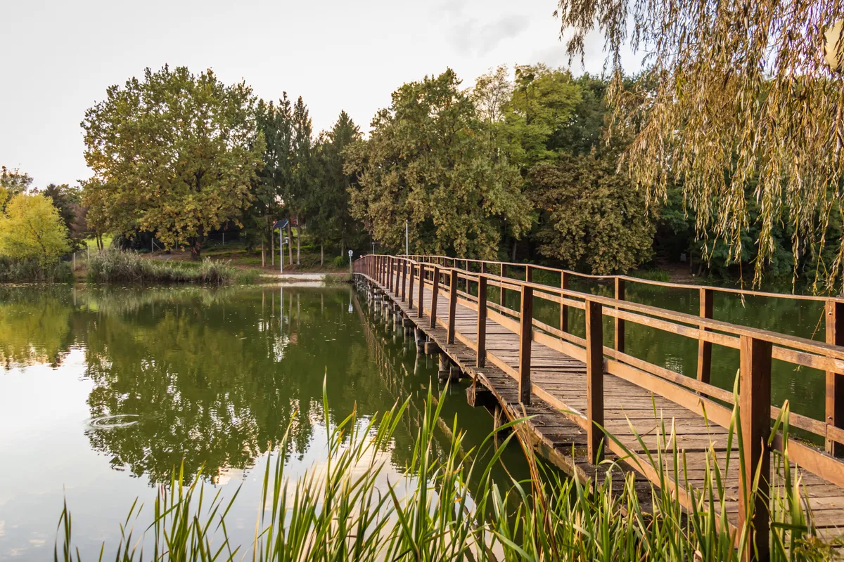 A Gbárti-tó környezete fahíddal Zalaegerszeg mellett.