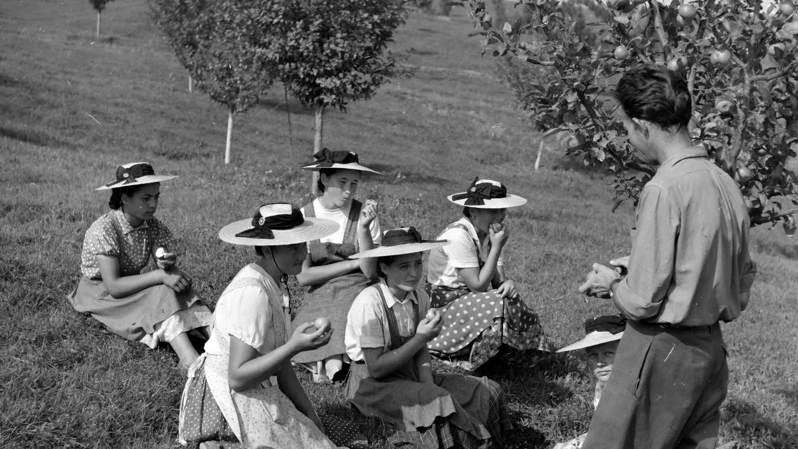 Kvíz kérdést ábrázoló kép