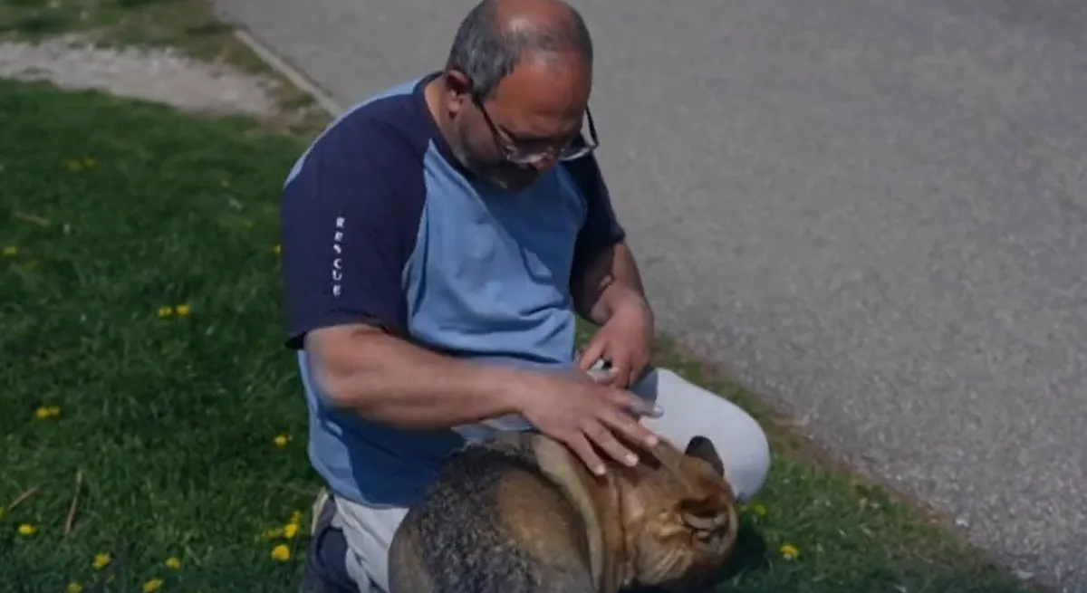 Etelkának köszönheti az életét András. Nem mindennapi életmentés zajlott Sopronban 