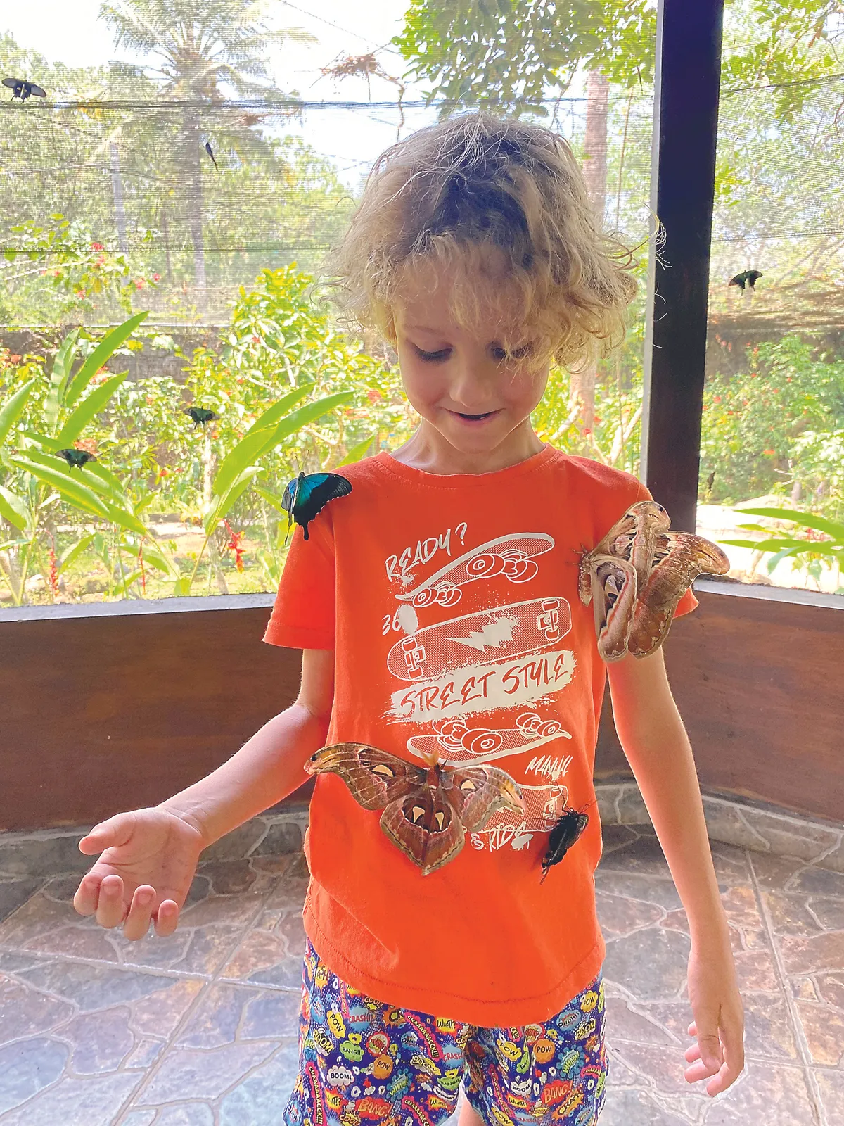 Horváth Éva nagyobb fia lepkékkel, pillangókkal 