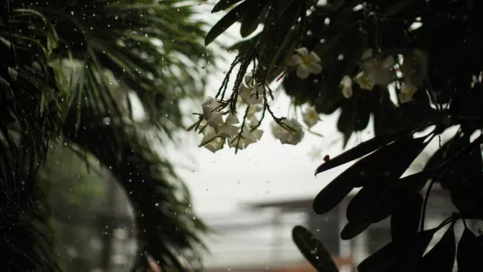 Máris búcsút inthetünk egy időre a napsütésnek?