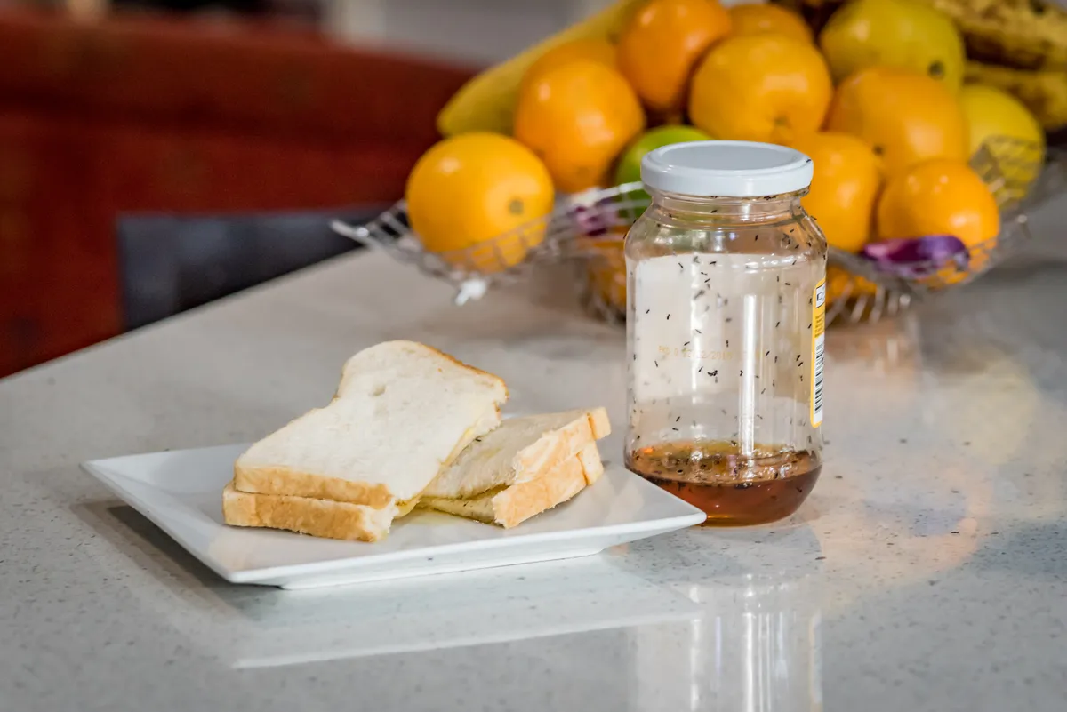 A hangyák ellepték az üvegben kitett mézet.