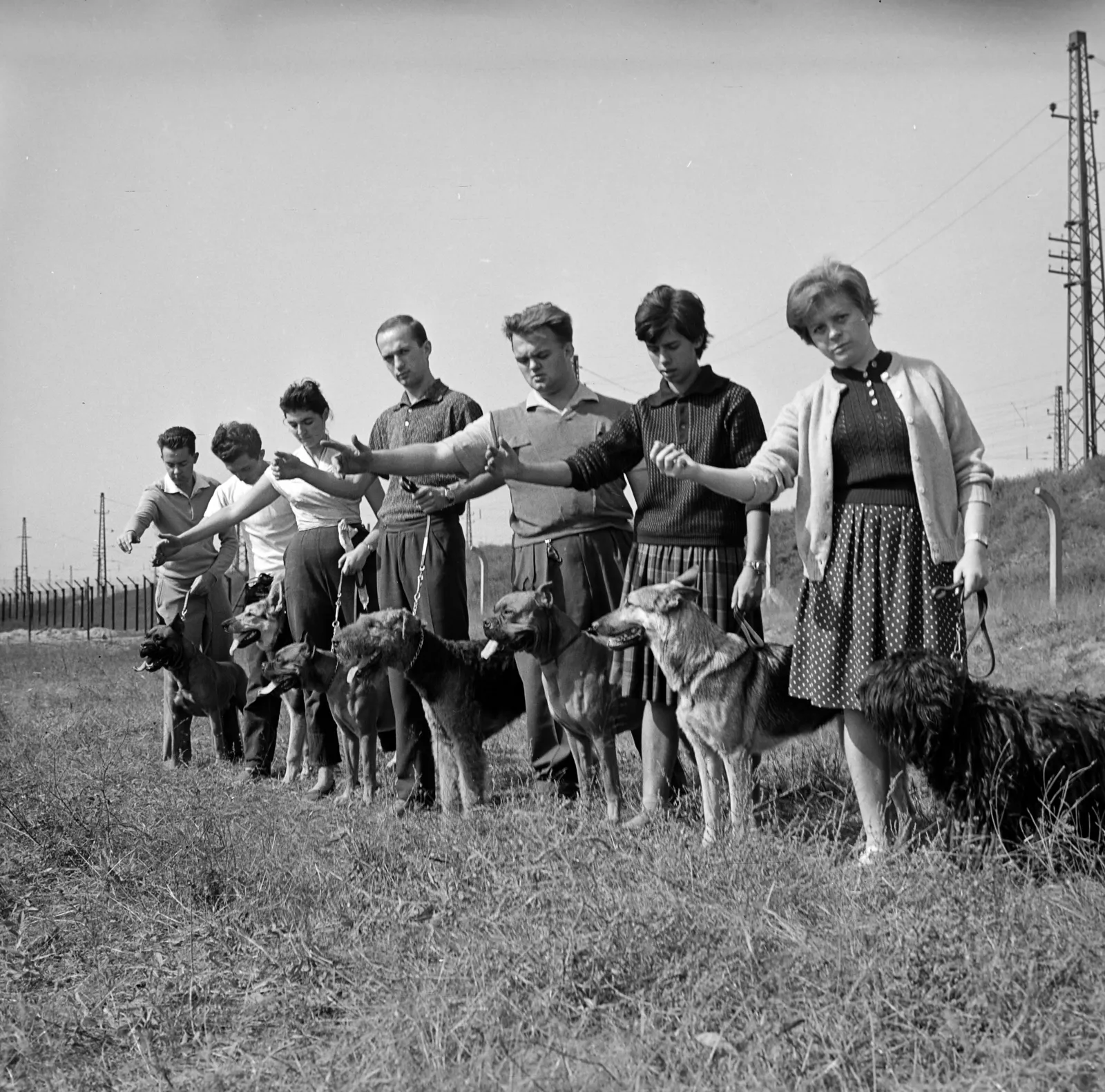 Kvíz kérdést ábrázoló kép