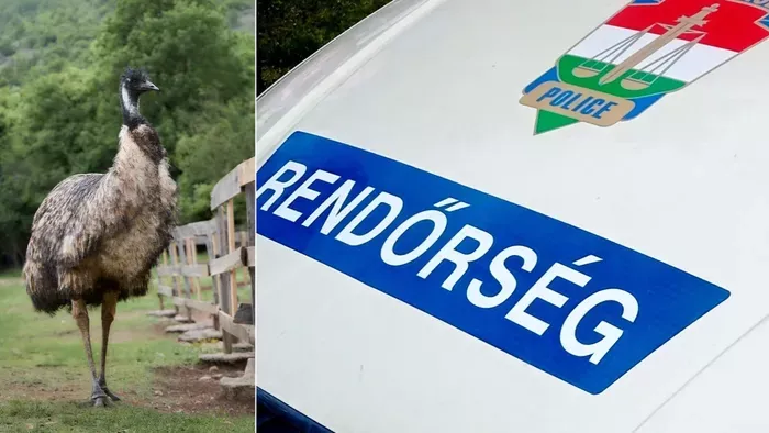 Három lányát vitte magával az eltűnt családapa