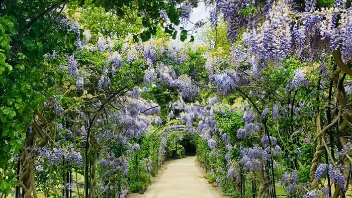 Élve akarták felfalni a fenevadak a 68 éves Ritát