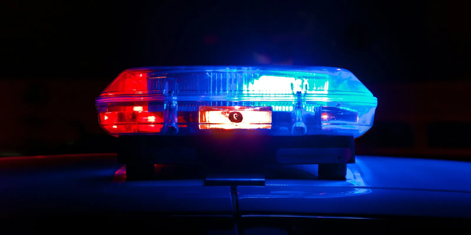 Megtalálták Borbás Marcsi eltűnt munkatársának holttestét