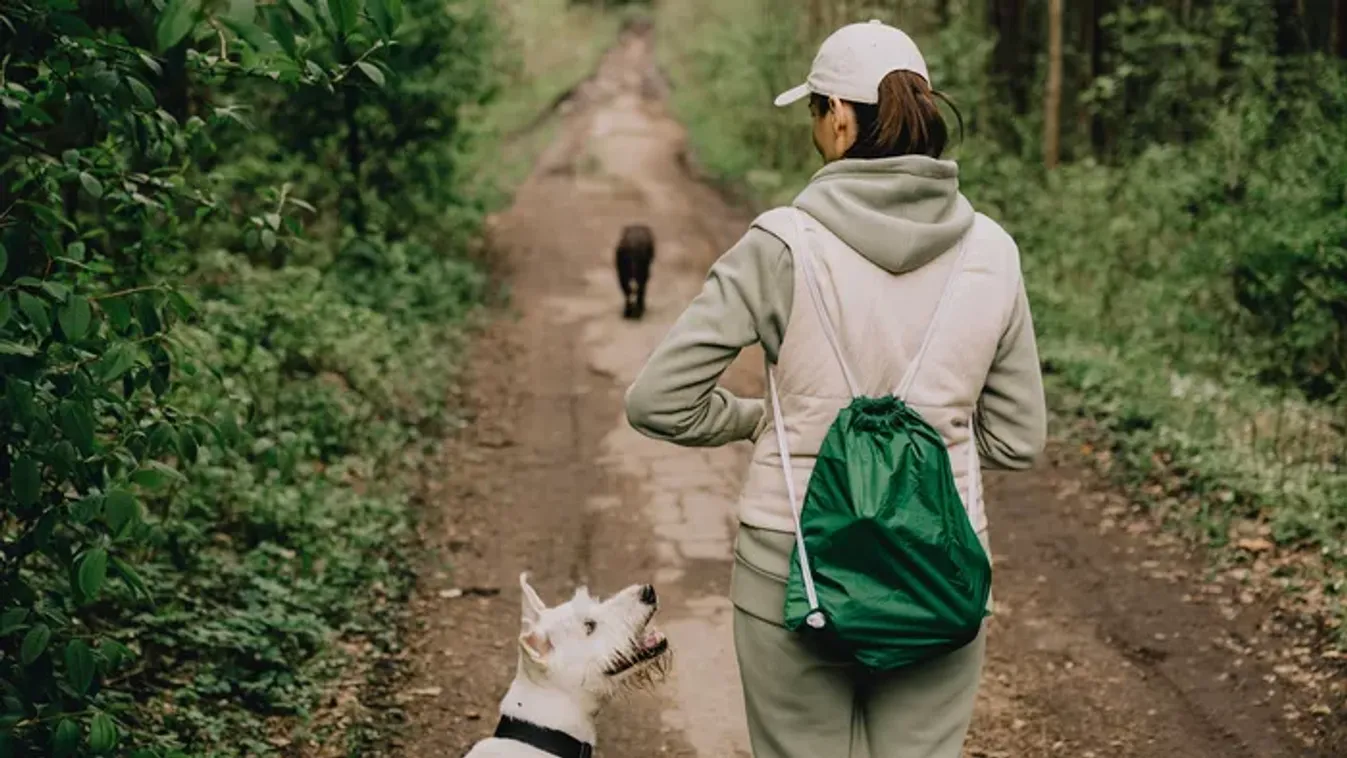 „Dolly tükrözi azt, amit én éltem át” – Sokkoló fordulat: ugyanazzal a betegséggel küzdött meg a gazdi és hűséges kutyája
