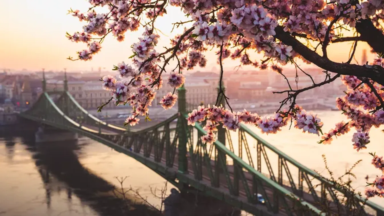 Tavaszi szünet másképp – Csodás rejtett helyszínek Budapest szívében távol a tömegtől