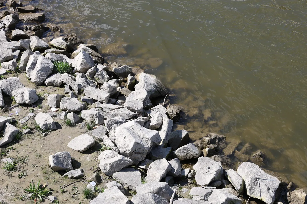 Belgrád rakpart, zuhant, külföldi