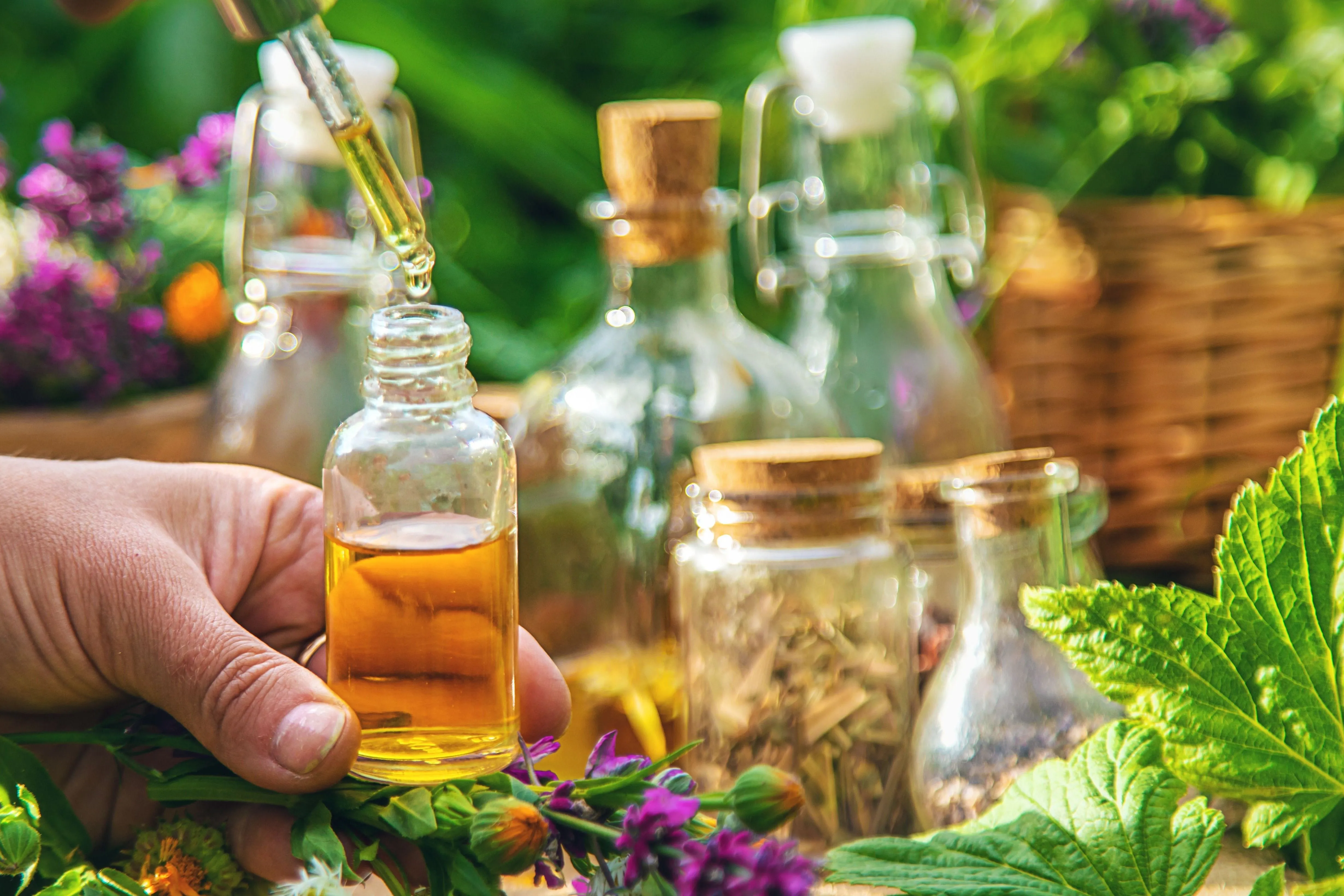 5 gyógynövény a kertedből, amely felér a drága pirulákhoz