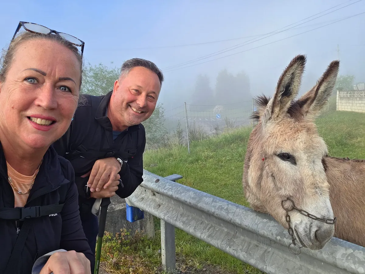 A netes csalók nem kímélték Sihell Ferryéket.