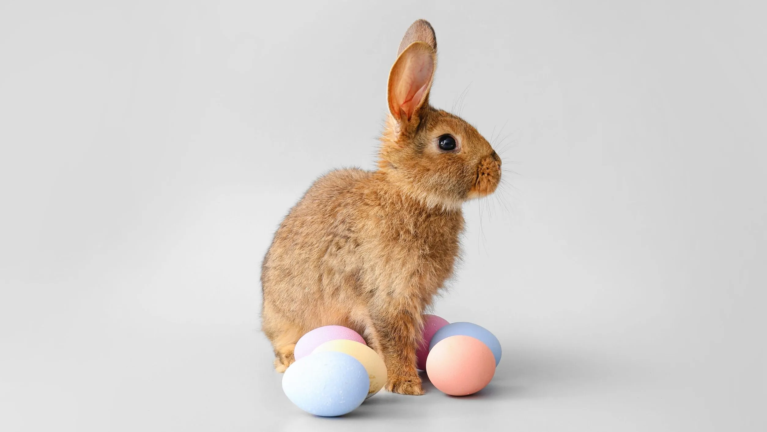 Kvíz kérdést ábrázoló kép