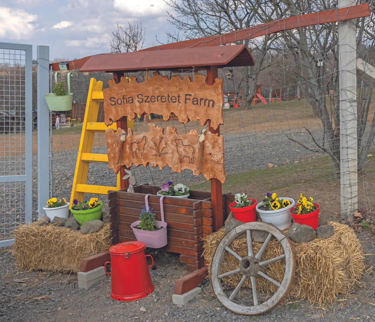 A farmon mindig szeretettel várják az autizmussal élő gyerekeket és szüleiket, Pásztó mellett