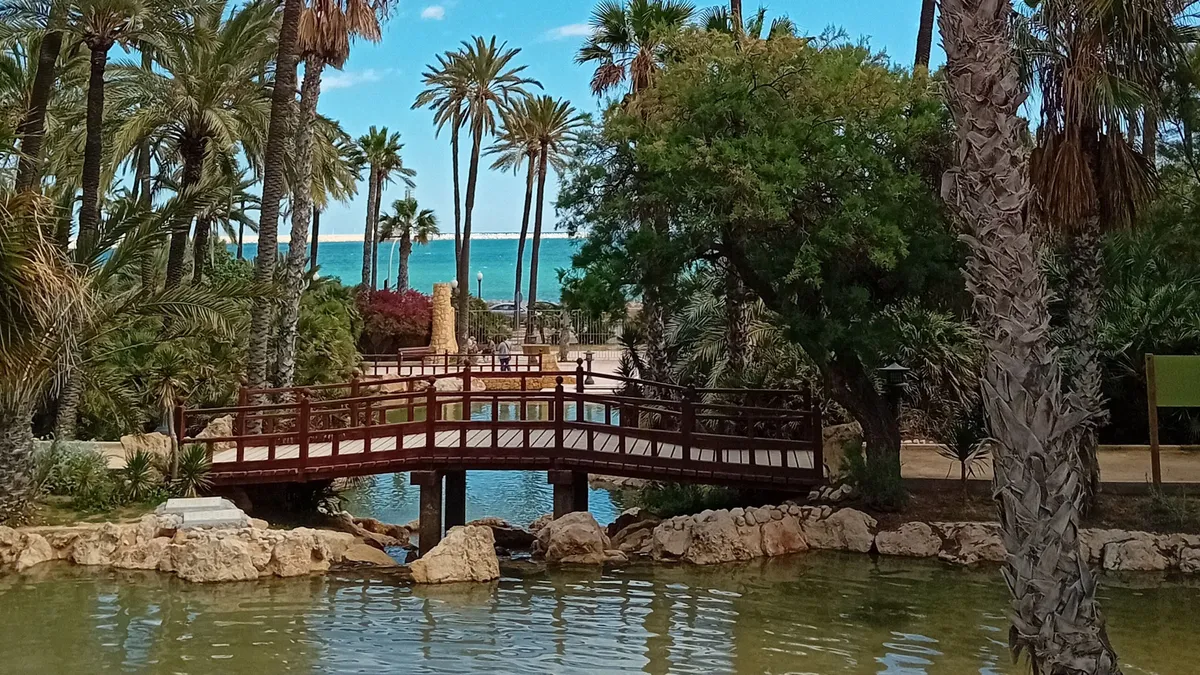 Pálmák Alicante városában.