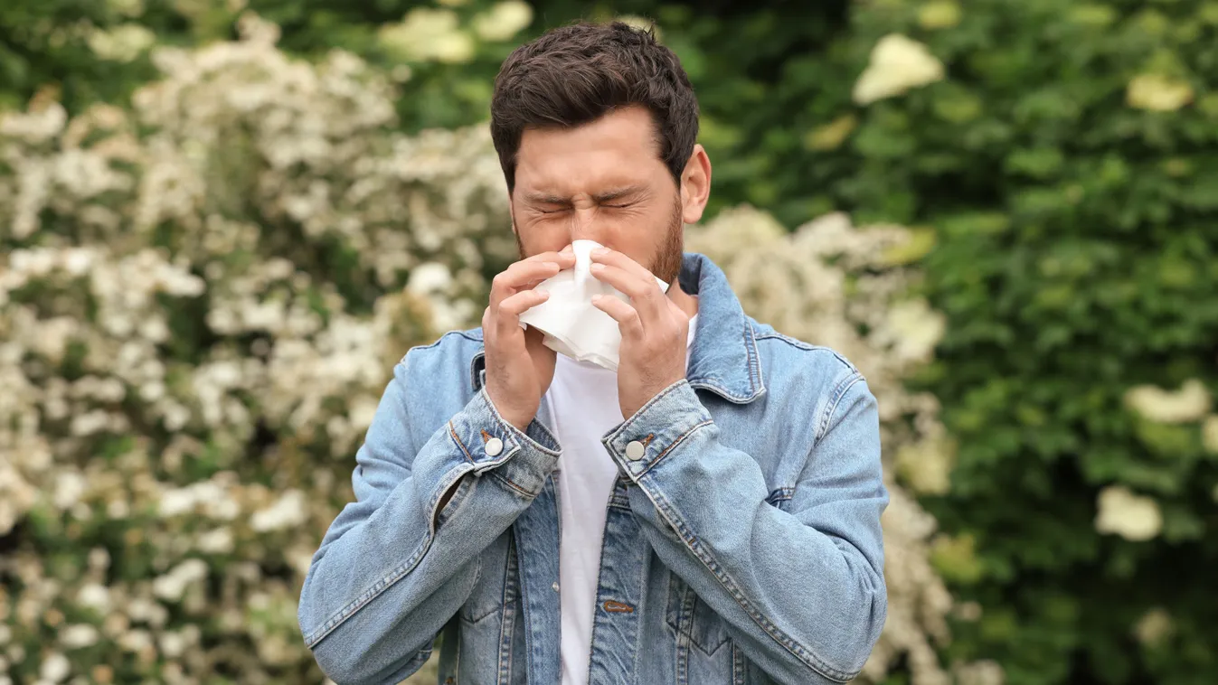 Orrot fújó férfi, akit allergia gyötör