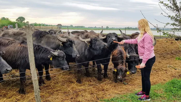 Sosem találnád ki, mi minden fér bele egy napba Mórahalmon