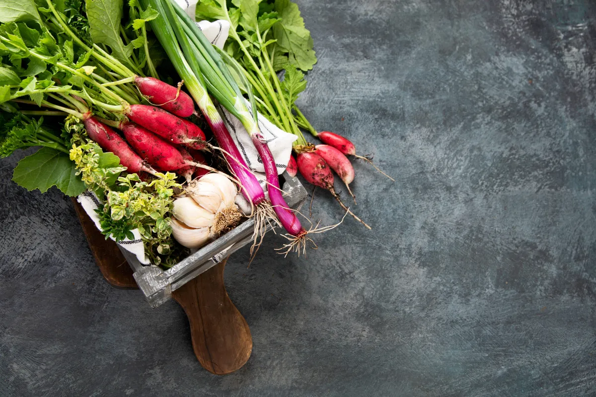 Tavaszi zöldségek, mint retek, rebarbara és fokhagyma