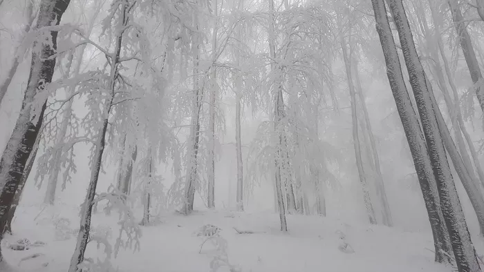 Mesevilág a Mátrában: lélegzetelállító fotó a havazásról