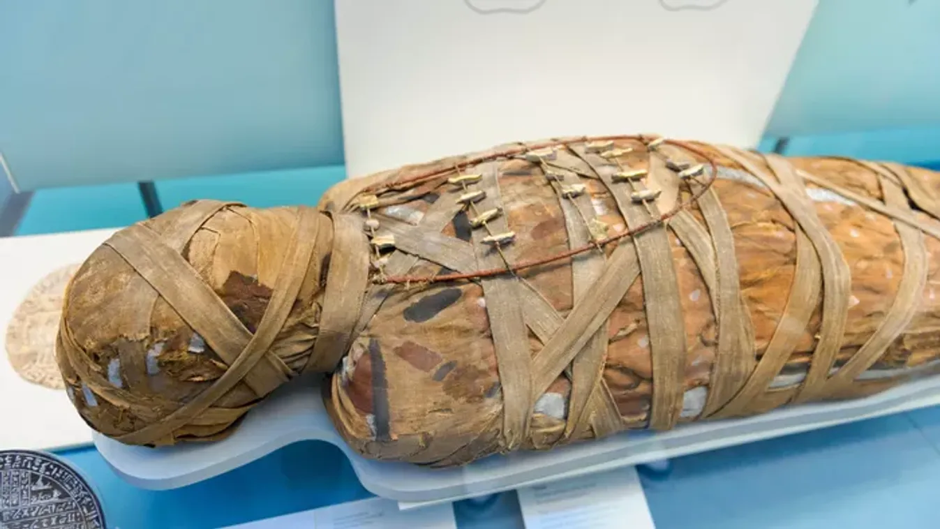 Sokkot kaptak a tudósok: nem hiszed el, mit találtak az ókori egyiptomi múmiában