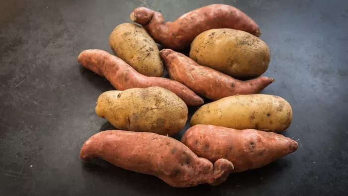 Egészséges egyáltalán az édesburgonya?