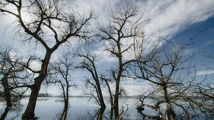 Meggyilkolták a 18 éves fiút, az elkövető szabadlábon van