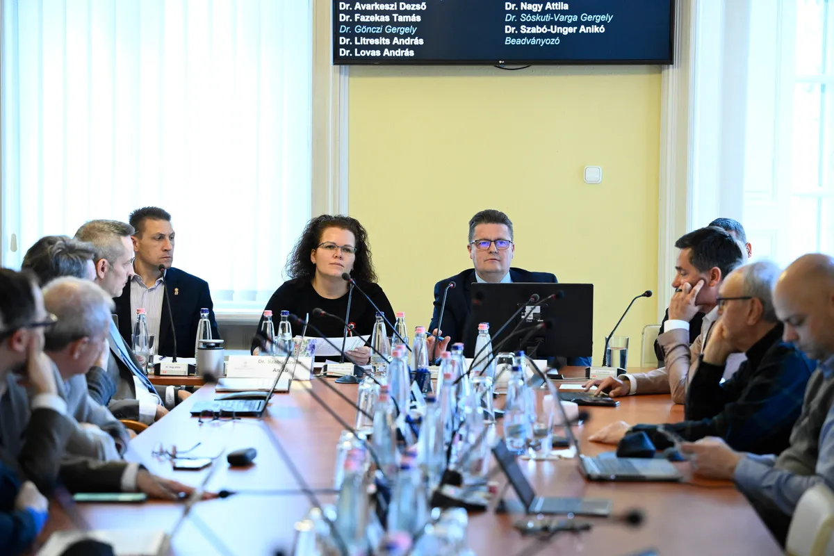 NAGY Attila Mihály; SASVÁRI Róbert