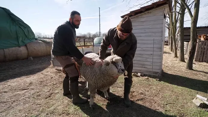 Így tanítják a gazdálkodást: Sipos Misi tanyasi órákat tart