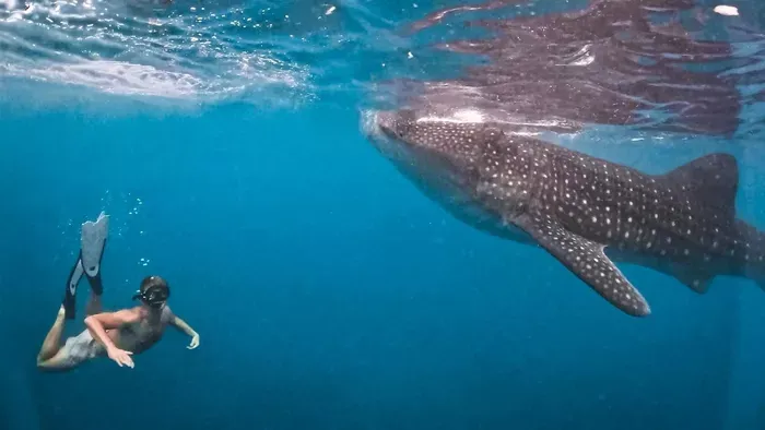 Ilyen egy fél éves ázsiai út hátizsákos turistaként