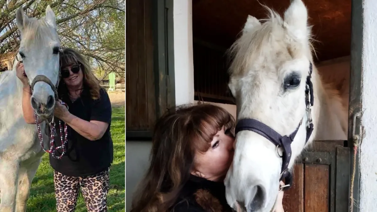 Zalatnay Cini énekesnő lova 36 éves, de még elviszi a gyerkekeket a hátán