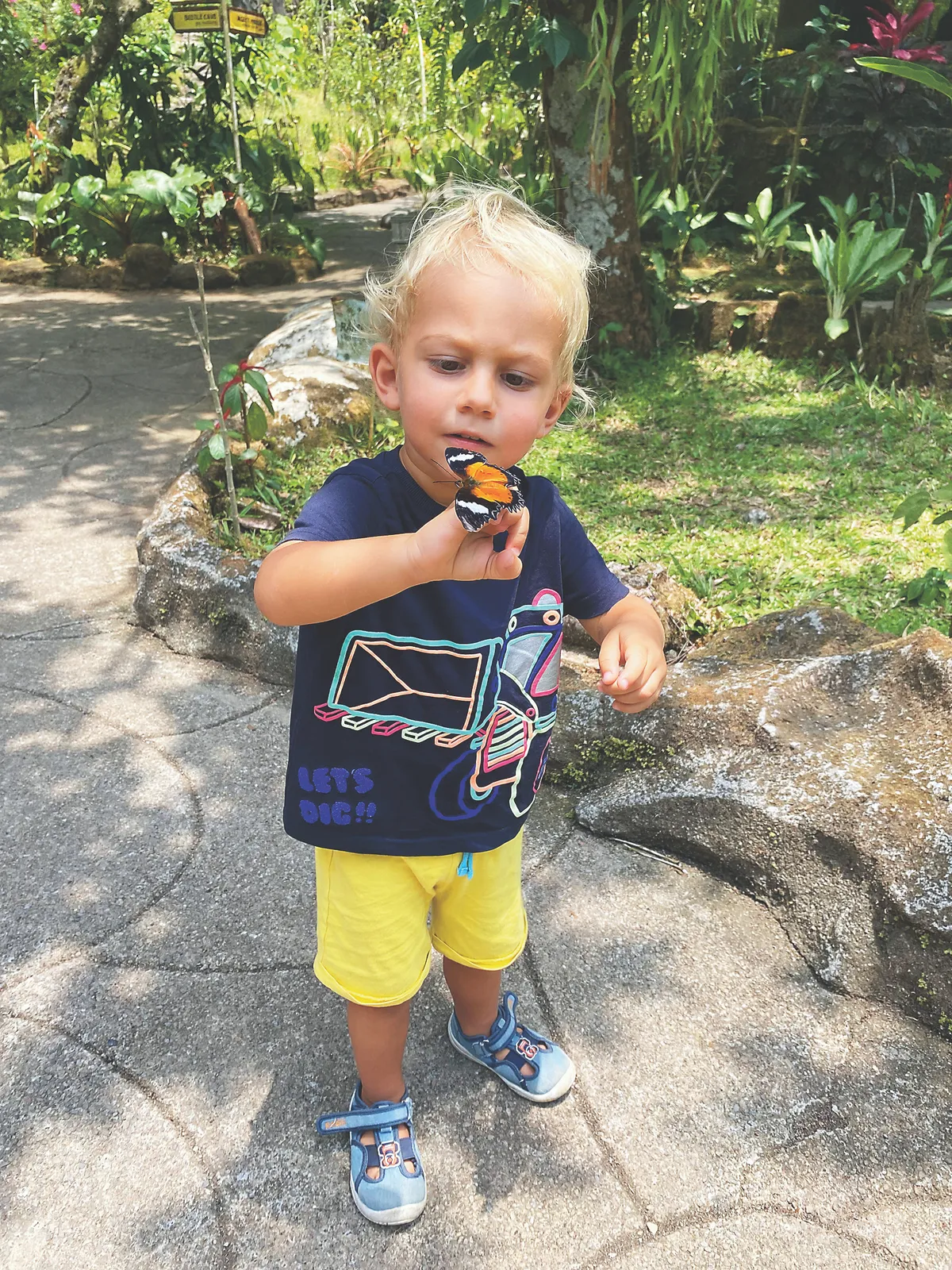 Horváth Éva kisebbik kisfia egy pillangóval barátkozik 