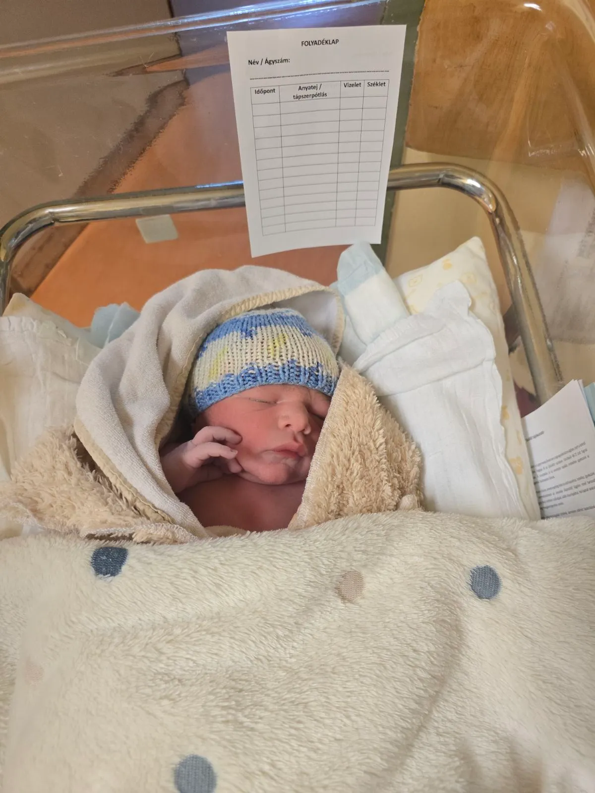 Bangó Margit ükunpkája elvarázsolta a családot. 