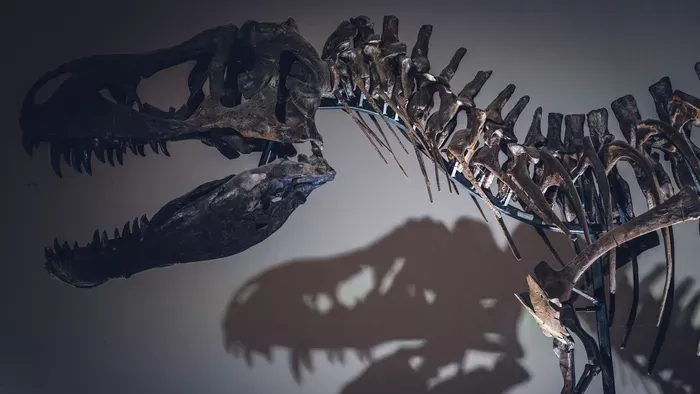 Kannibál volt a T-Rex? Sokkoló leletre bukkantak!