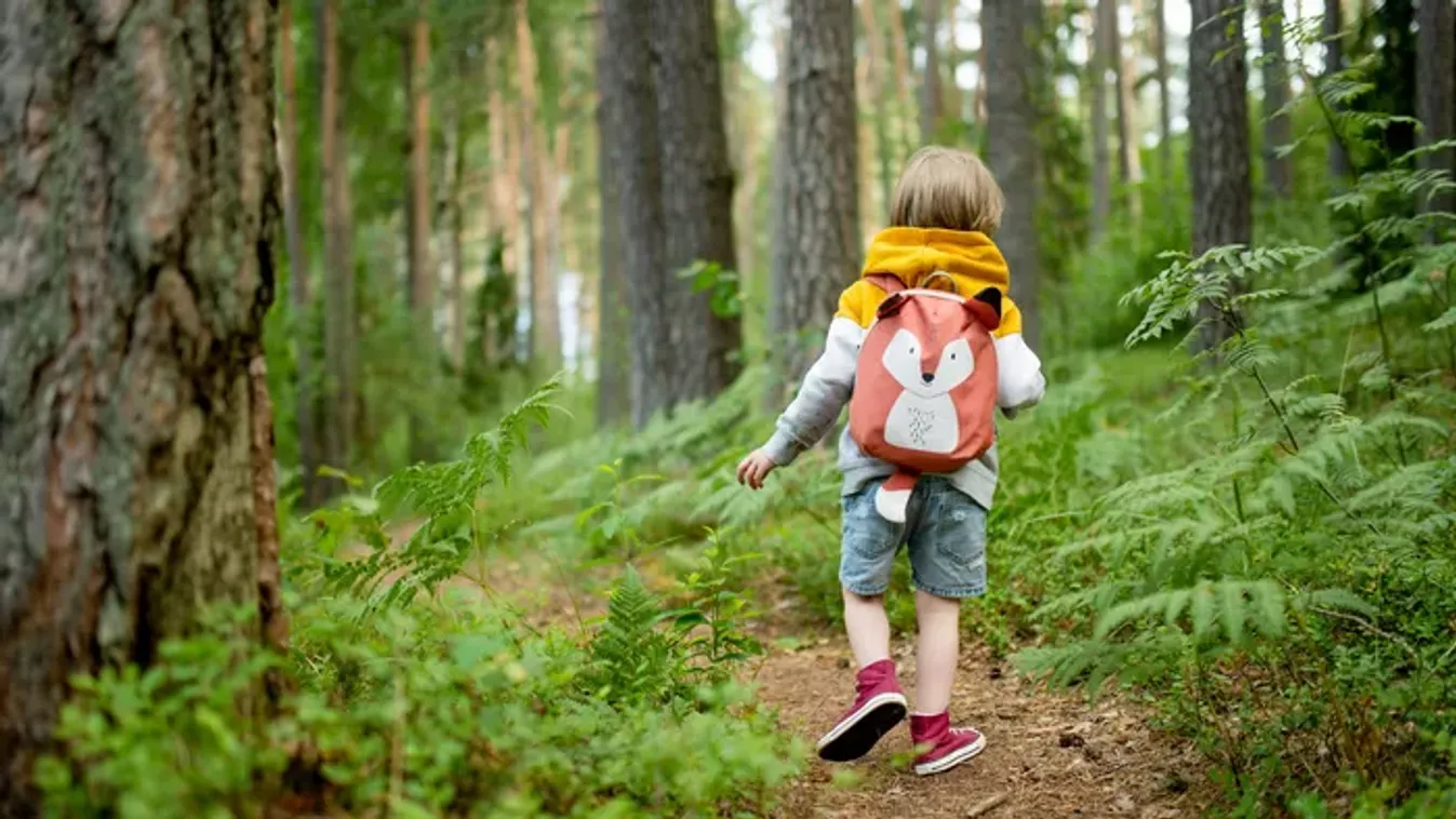 A legjobb túrák gyerekekkel a tavaszi hosszú hétvégére: eldugott tanösvények Budapest környékén