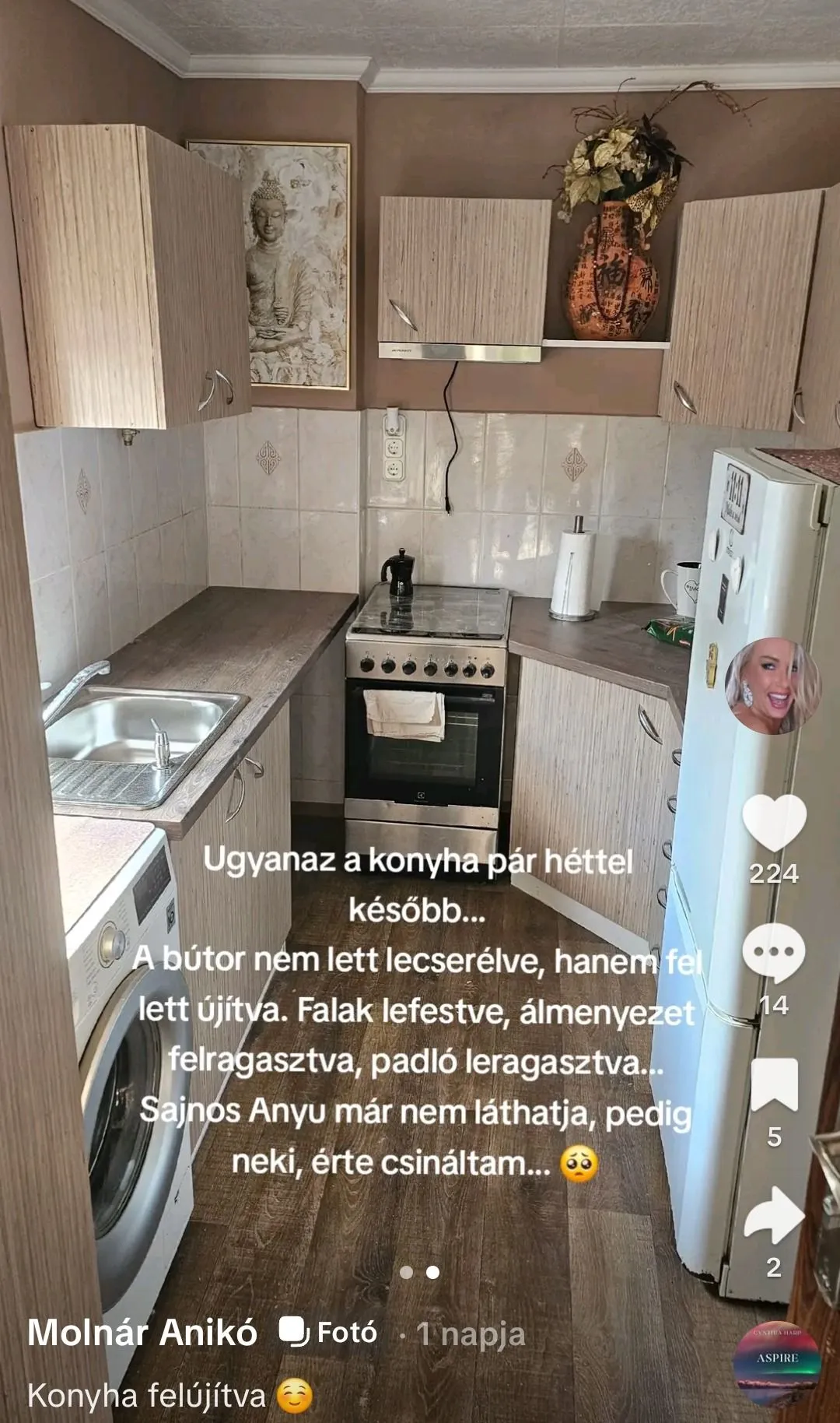Molnár Anikó mindent megtett anyukája jólétéért, még a konyháját is felújította. Mindhiába, mert édesanyja már egy idősek otthona lakója.