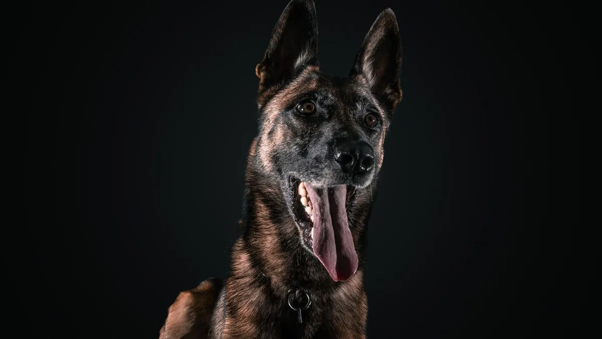 Nyugdíjba vonul Ticó