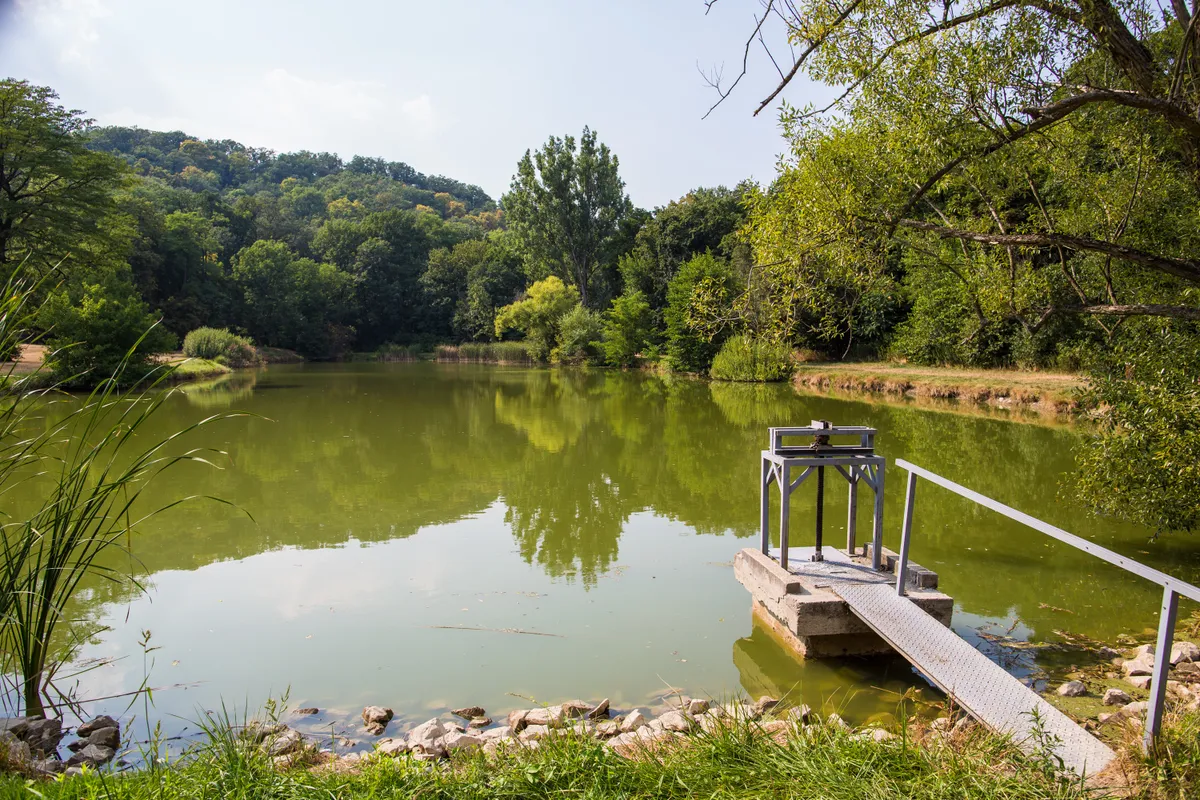 Gaja-völgy a Bakonyban