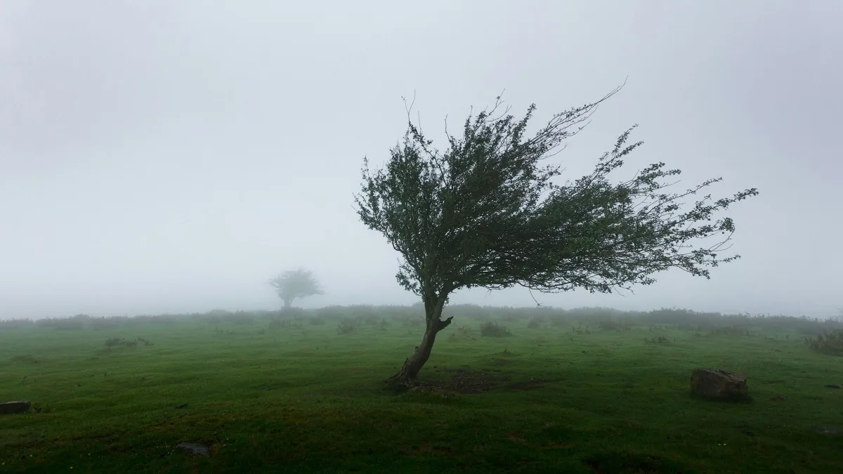 Idegőrlő napok jönnek: figyelmeztet a meteogyógyász, ezt teszi velünk az időjárás