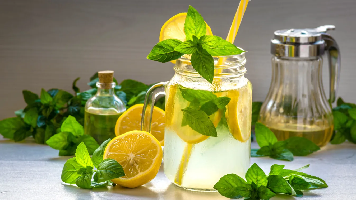 Mennyei citromfűszörp házilag – Egy csepp sem marad az üveg alján, ha így készíted el